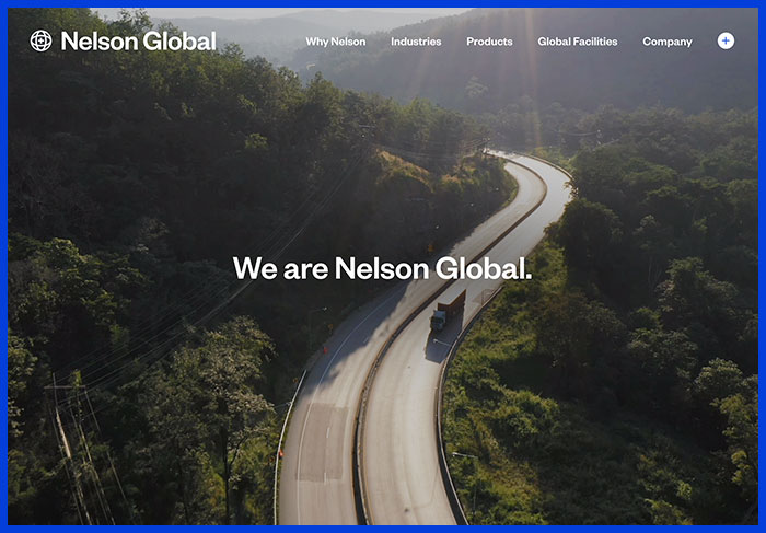 Nelson Global website screenshot